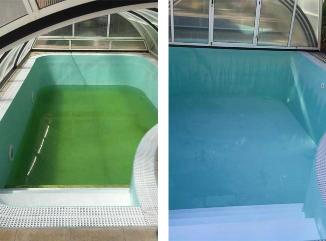Poolreinigung im Bez. Bruck / Leitha
